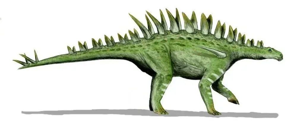Amazing Huayangosaurus facts that you will enjoy.