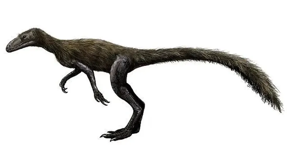 Amazing Marasuchus facts that you won't believe.