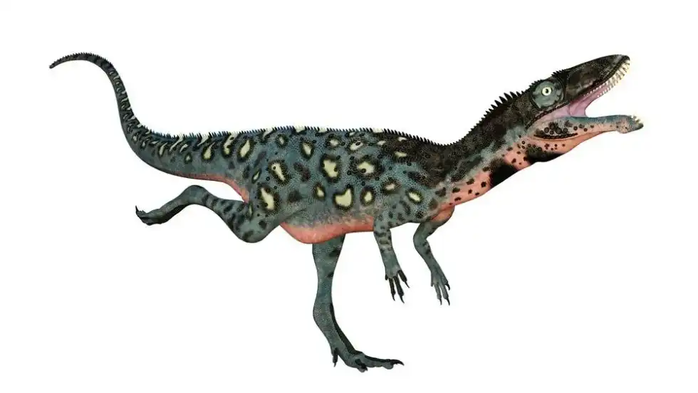 Amazing Masiakasaurus facts that you won't believe.