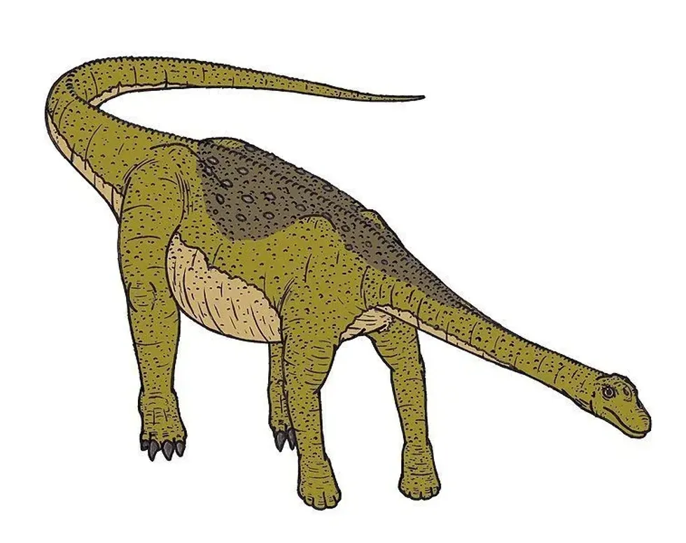 Amazing Nemegtosaurus facts that are interesting and fun.