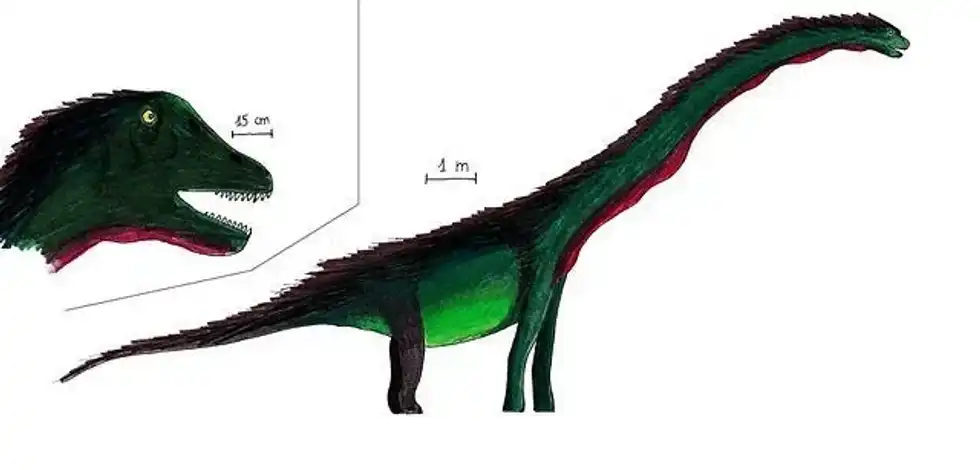 Amazing Paluxysaurus facts to learn more about this incredible dinosaur species that lived in the late jurassic period so let’s dig in.