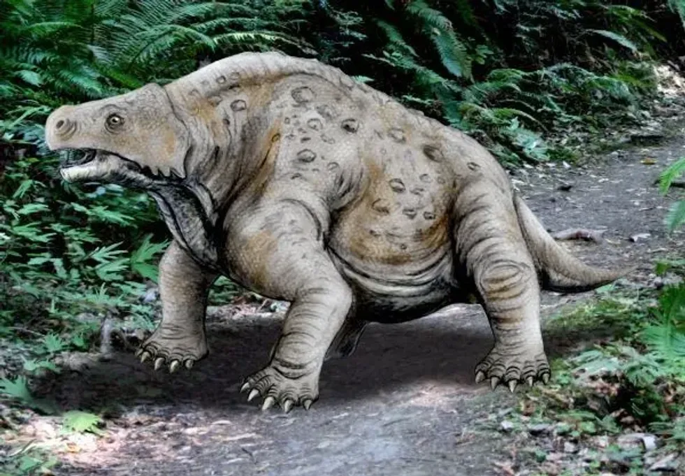 Amazing Pareiasaurus facts that everyone will enjoy.
