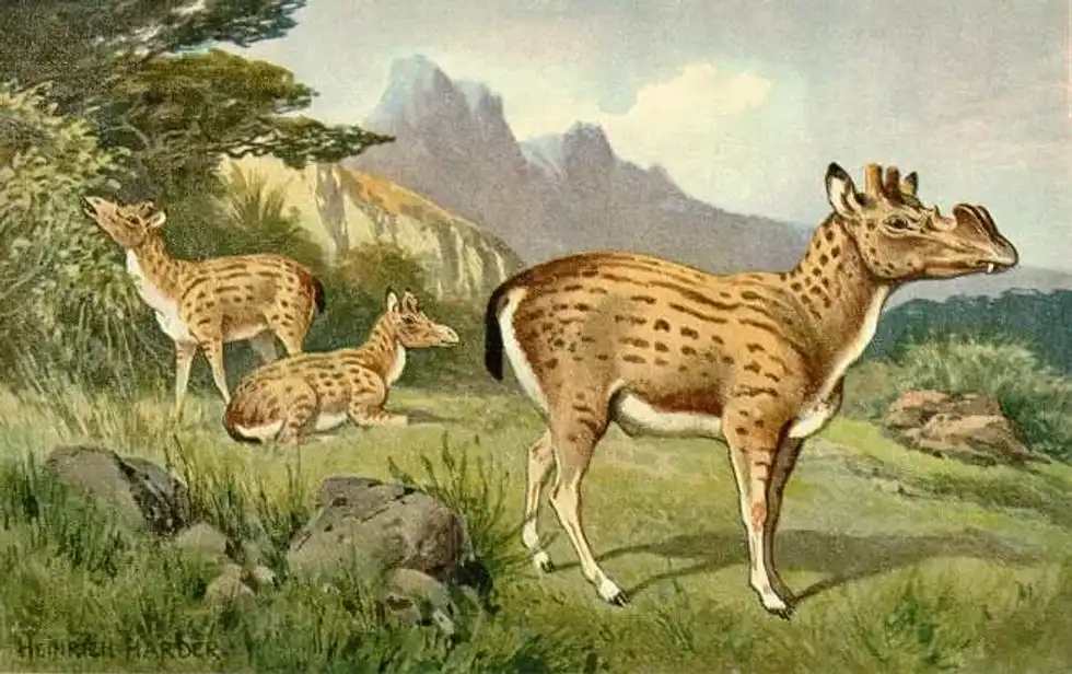Amazing Protoceras facts that you won't believe exists.