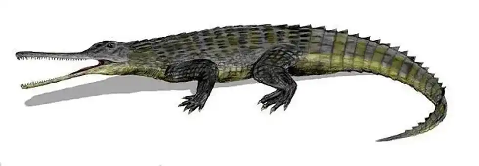 Amazing Rutiodon facts that you won't believe.