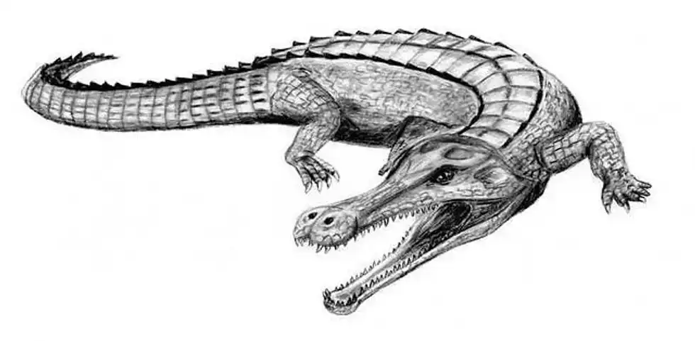 Amazing Sarcosaurus facts, which are fun and interesting.