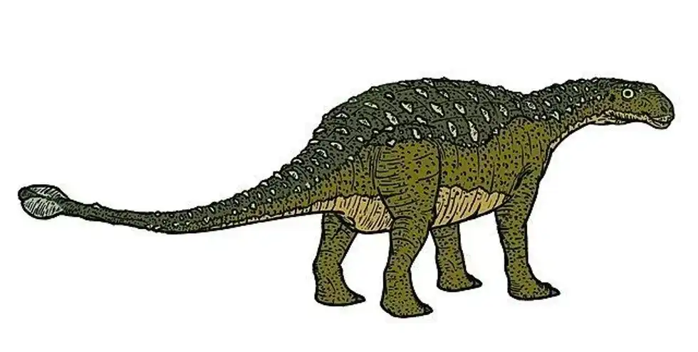 Amazing Talarurus dinosaur facts that everyone will love.