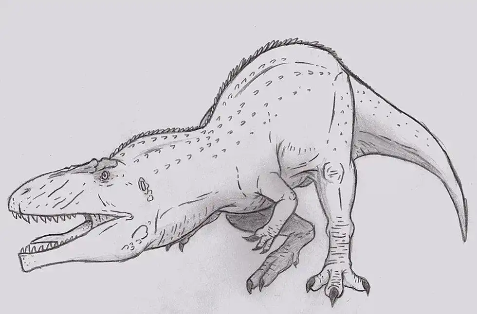 Amazing Tyrannotitan facts that you won't believe.