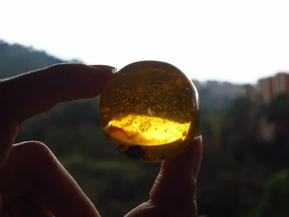 Amber facts will help you understand amber's place in the list of polished stones.