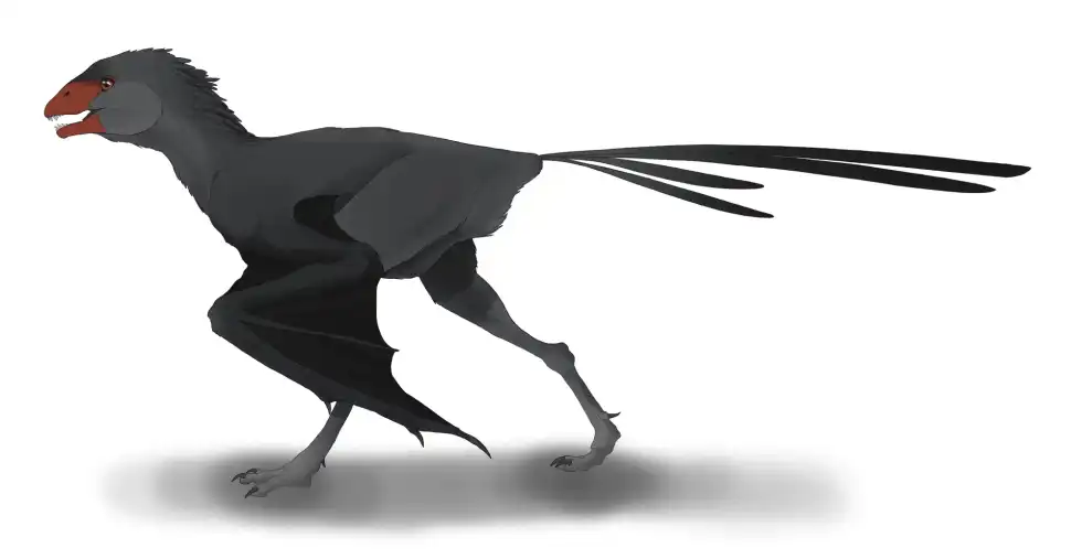 Ambopteryx facts are about a dinosaur belonging to the Scansoriopterygidae group.