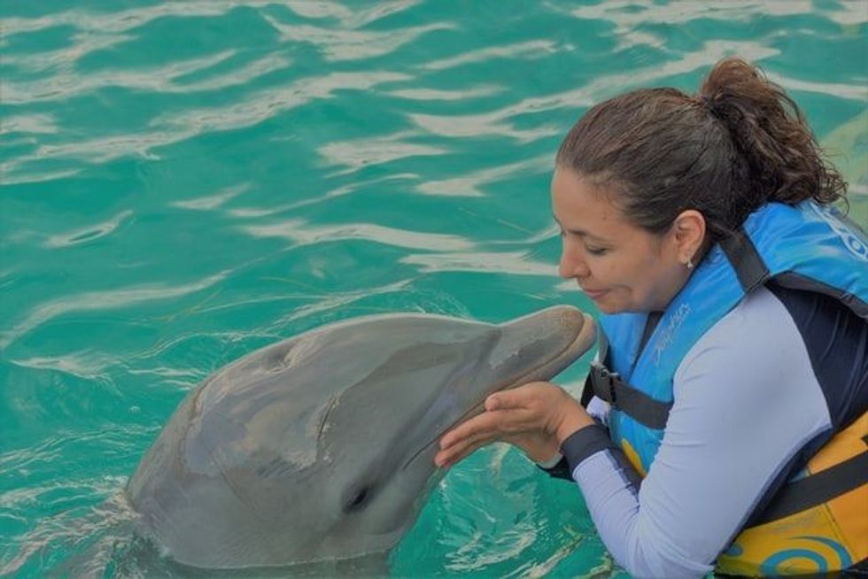 Among many interesting dolphin facts are that the dolphins have an inquisitive and friendly nature towards humans.