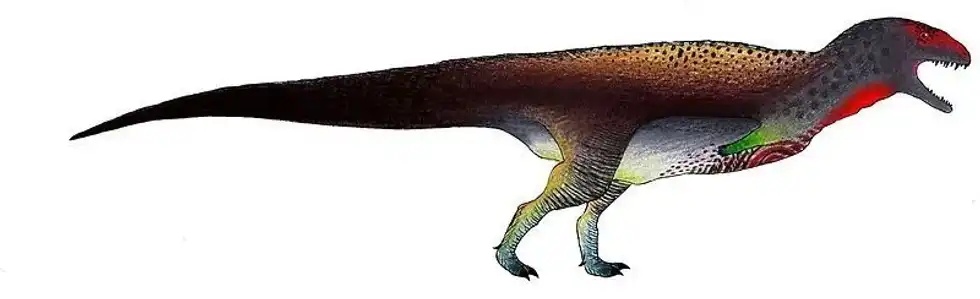 An animated image of an arcovenator on a plain white background.