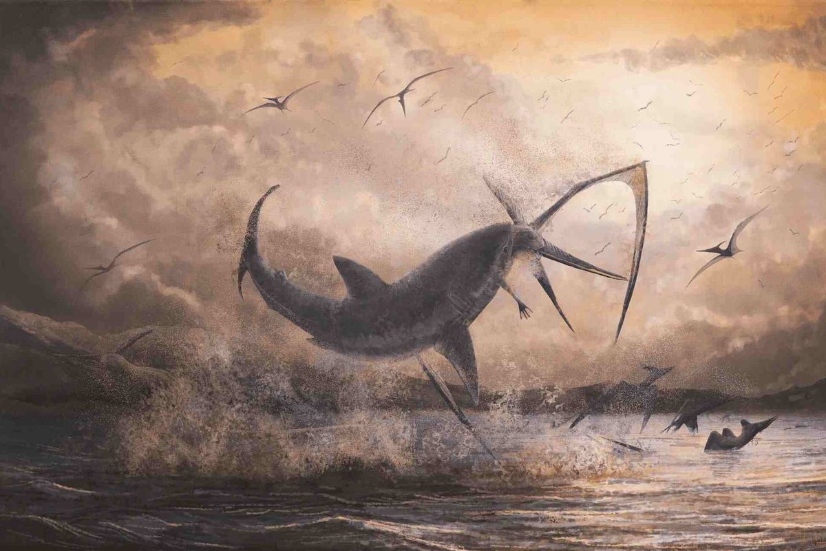 An animated image of the Cretoxyrhina capturing prey.