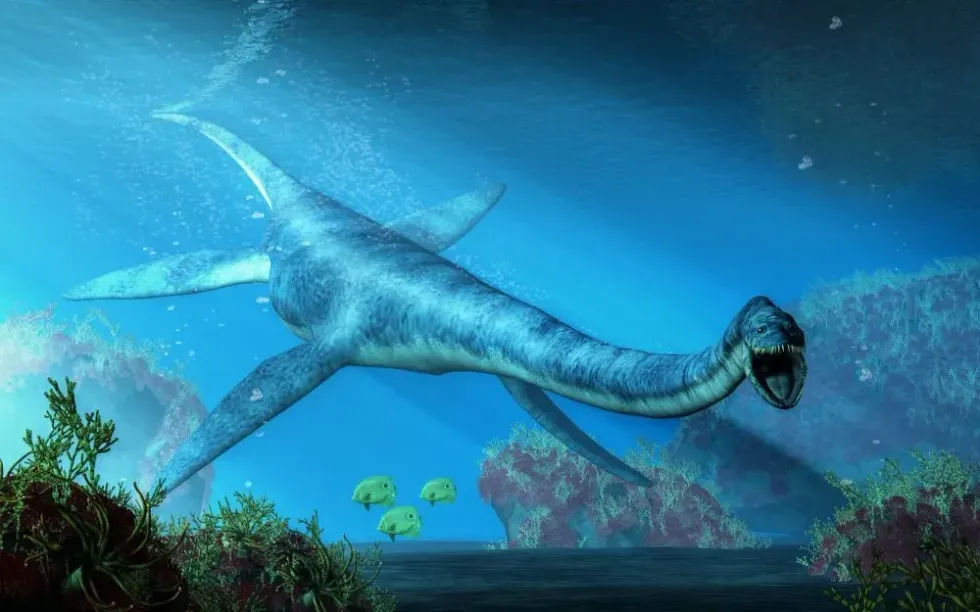 An drawing of the Elasmosaurus underwater.