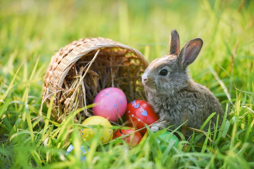 An Easter bunny on grass with Easter eggs.