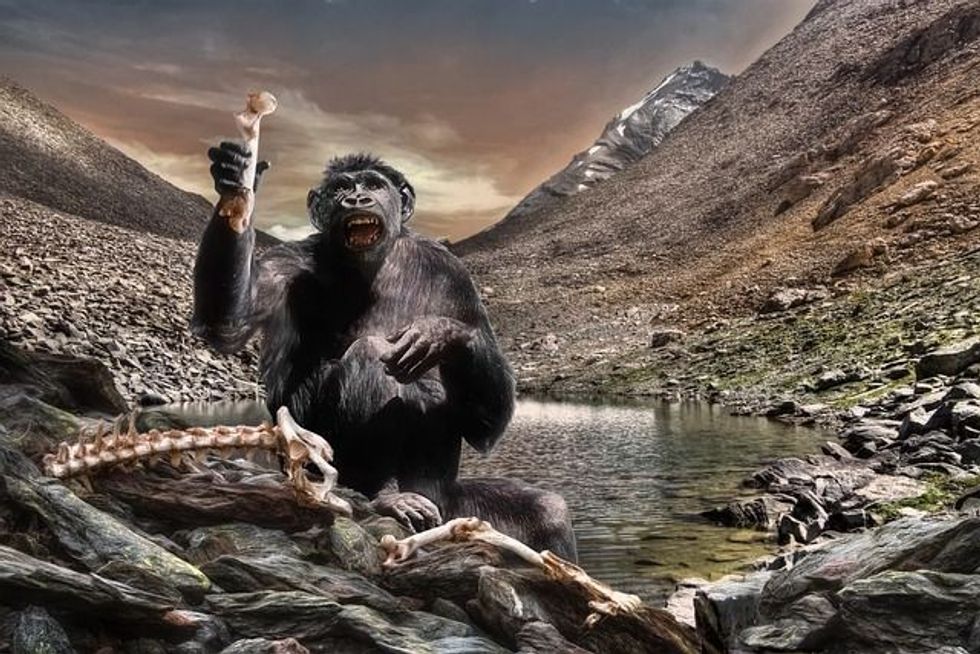An extinct species of early hominin is Australopithecus afarensis. Click here to know about Australopithecus afarensis facts.