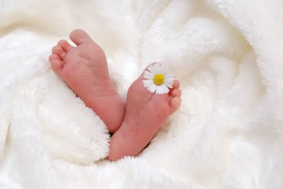 An image of baby's feet with a little white flower in toes