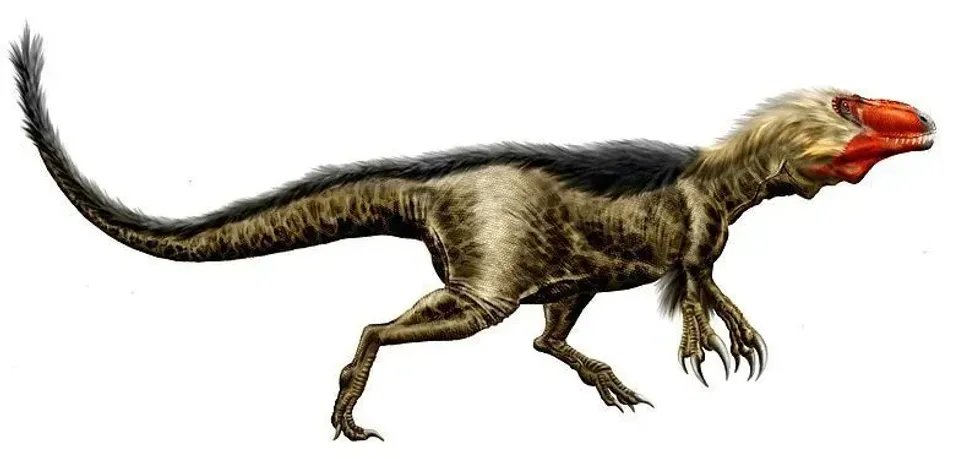 An image of the Dryptosaurus on a plain white background.