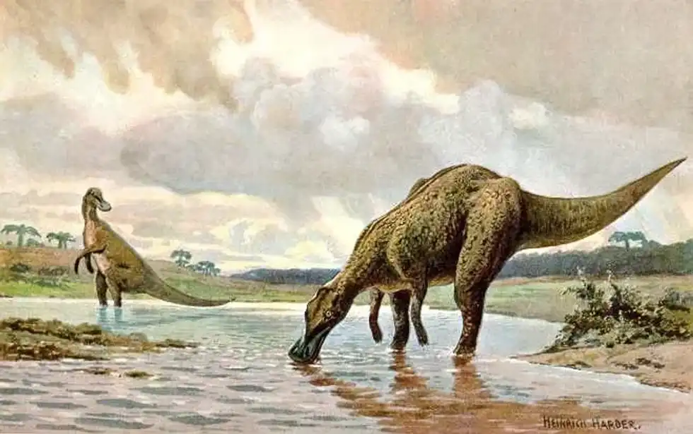 Anatosaurus facts are liked by children.