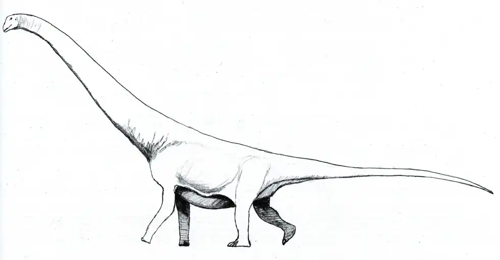 Andesaurus facts are interesting to read among people of all ages.