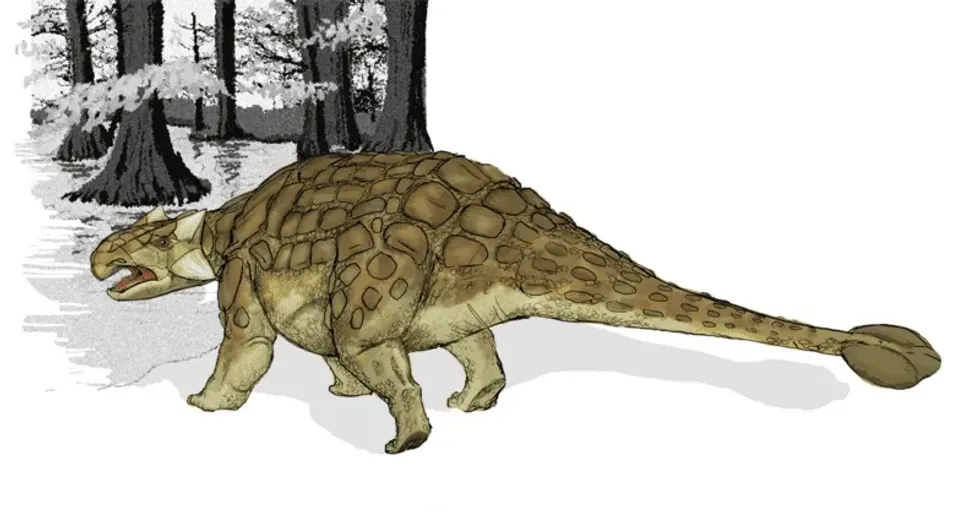 Anoplosaurus facts talk about these past creatures of the Cretaceous age.