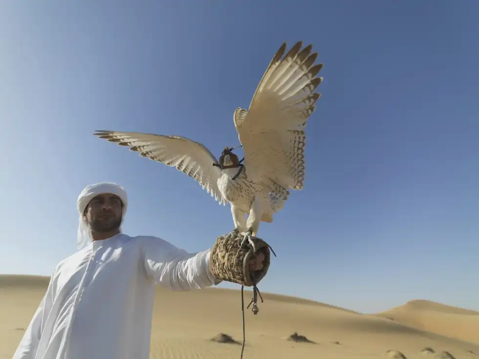 Arabian Desert facts are extremely interesting for students.