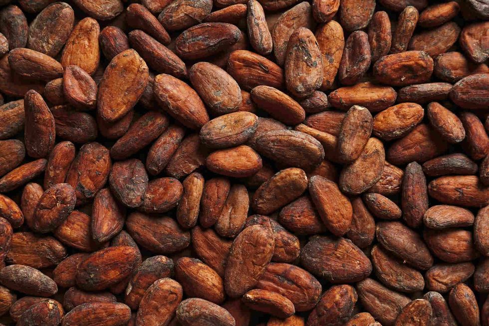 Aromatic cocoa beans