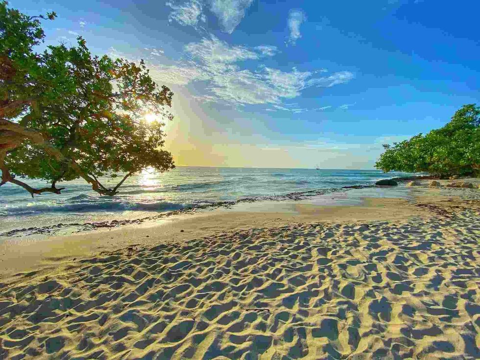 Aruba is a must-visit for all those looking to travel to scenic and picturesque places! Check out these Aruba facts!