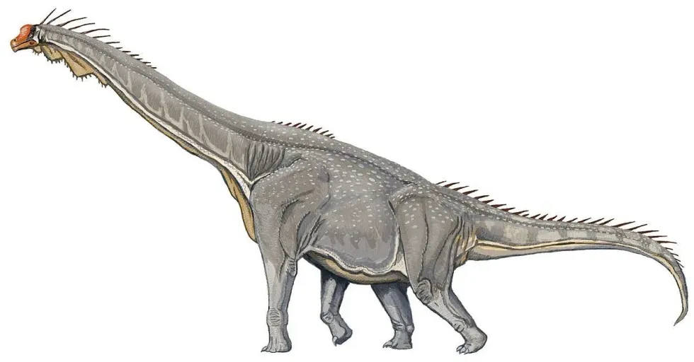 Asiatosaurus is one of the tallest known dinosaurs.