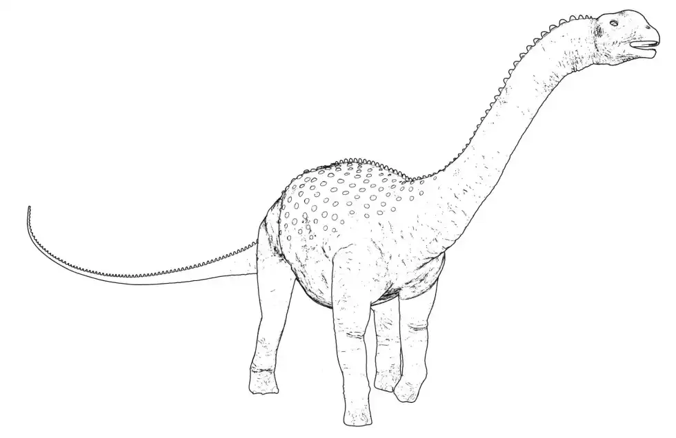 Astrodon facts include that the adult had unique, star-shaped teeth.