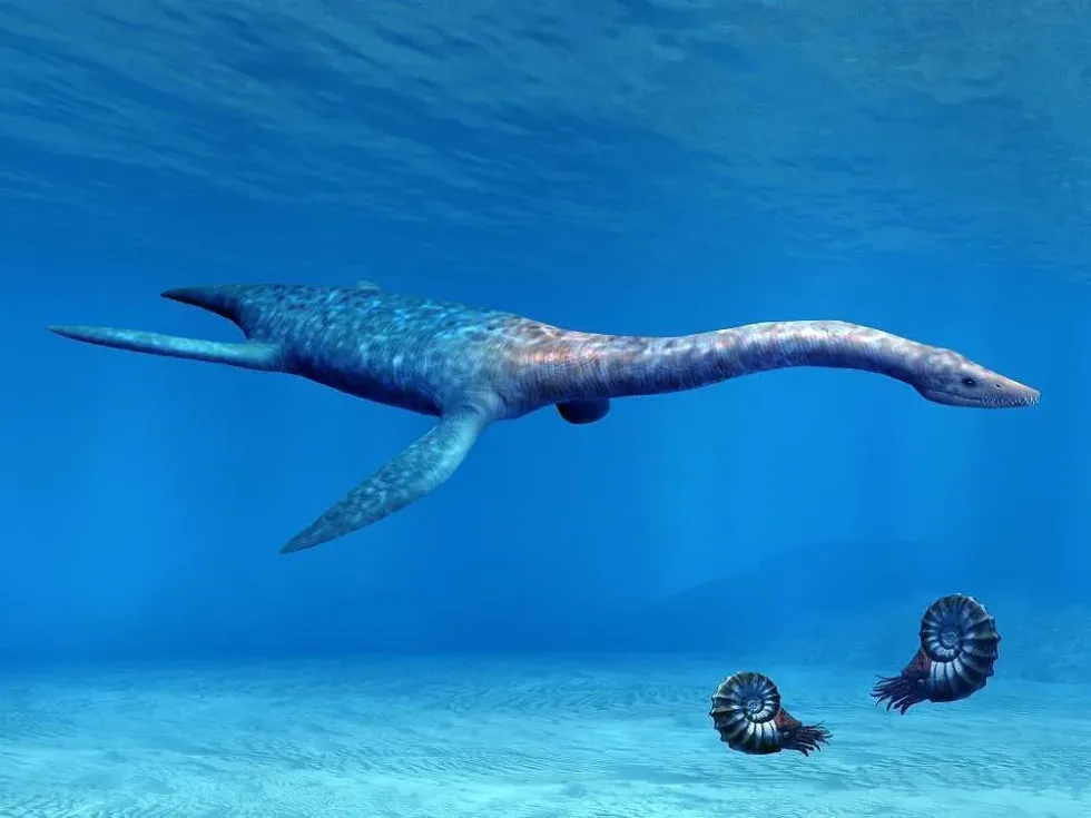 Attenborosaurus facts such as this was a pliosaur found in England in the early Jurassic Period.