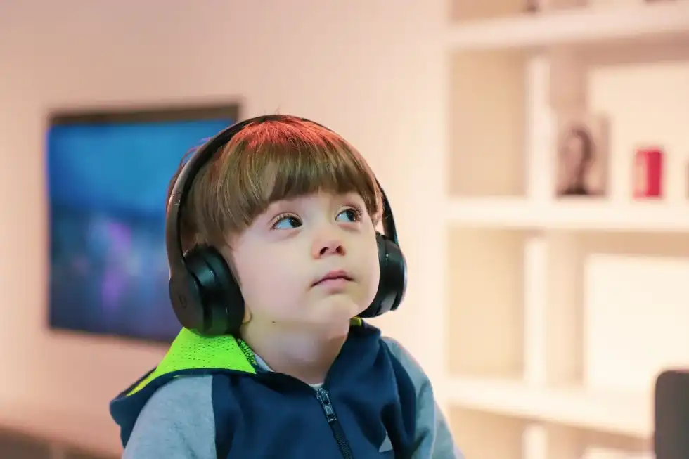 Auditory learners facts are important for educationists.