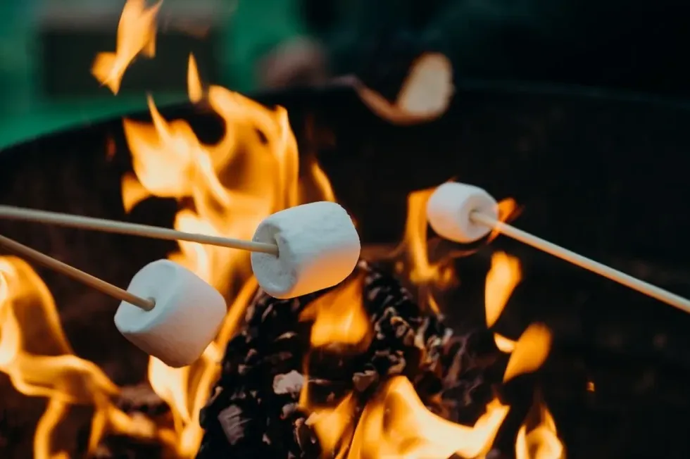 August 30 is annually celebrated as National Toasted Marshmallow Day.