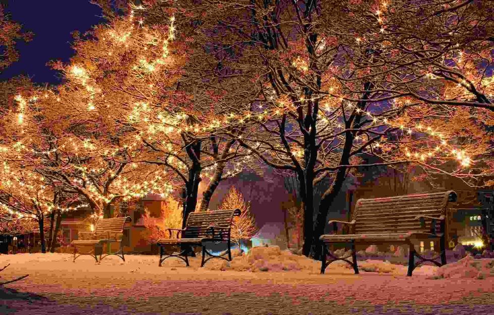 Australian Christmas facts are enjoyed by all readers during Christmas time.