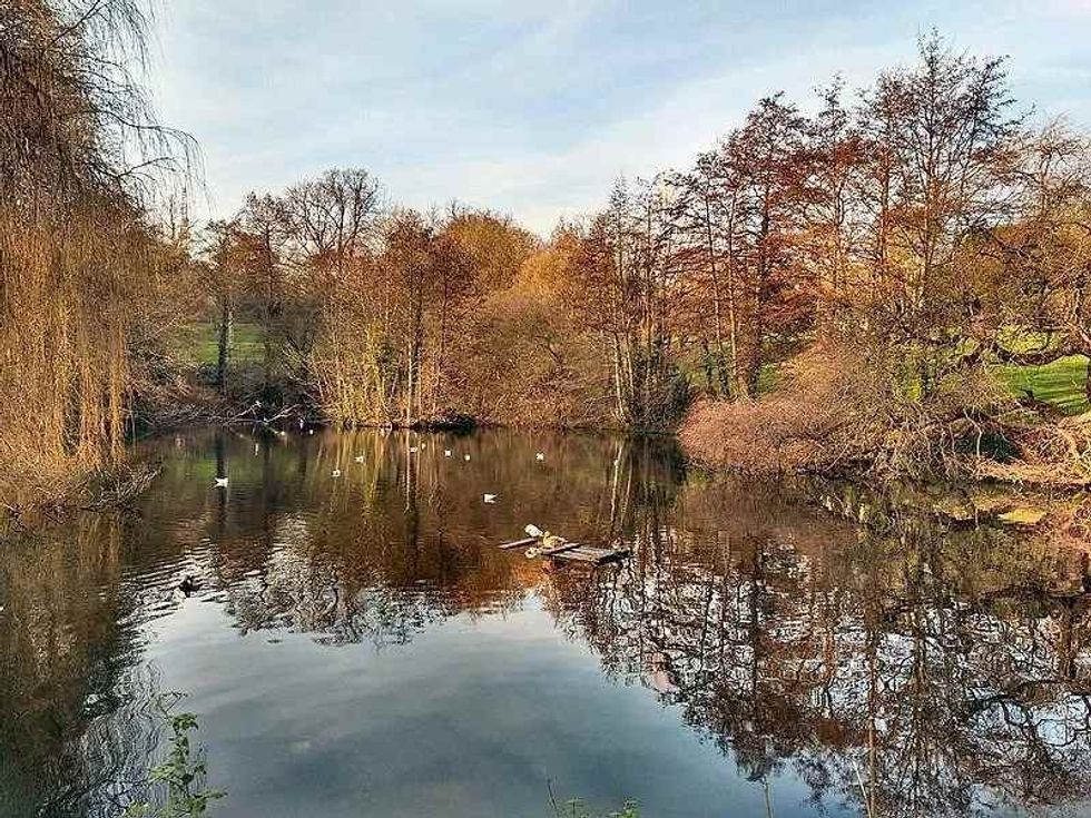 Autumnal trees overlooking lake at Waterlow Park.