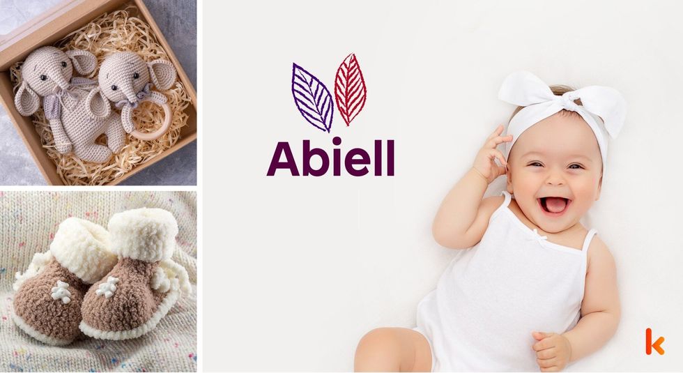 Baby name abiell - cute baby, booties & knitted toys.