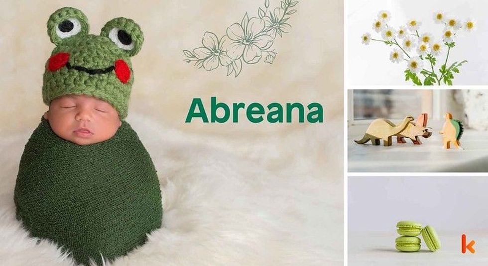 Baby Name Abreana - cute baby, macarons, toys, flowers.