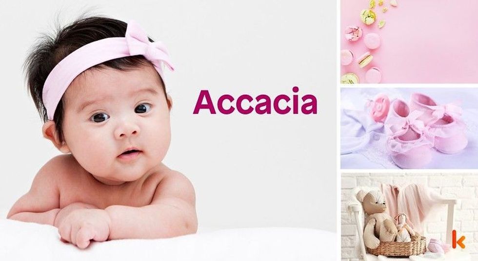 Baby name Accacia - cute, baby, macaron, toys, clothes.