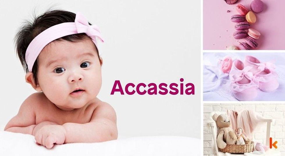 Baby name Accassia - cute, baby, macaron, toys, clothes.