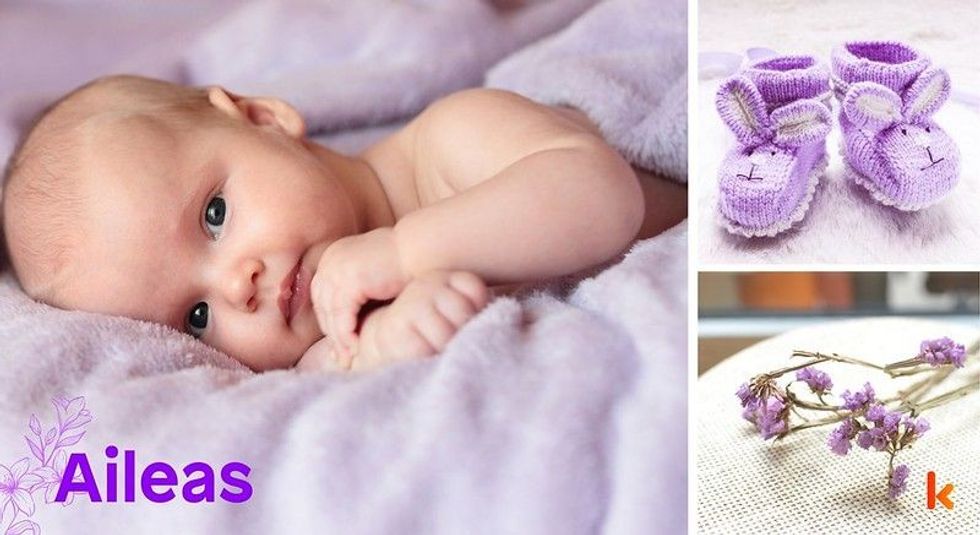 Baby name Aileas - cute baby, flowers & booties