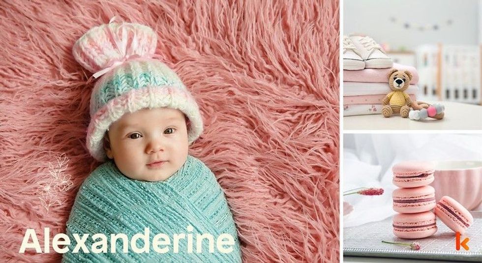 Baby name Alexanderine - cute baby, toys, baby clothes & macarons