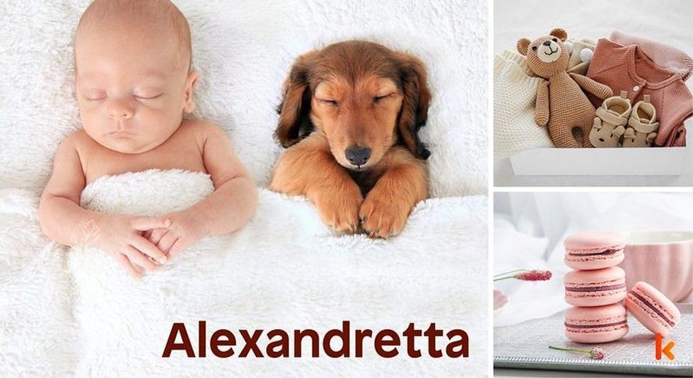 Baby name Alexandretta - cute baby, toys, baby clothes & macarons