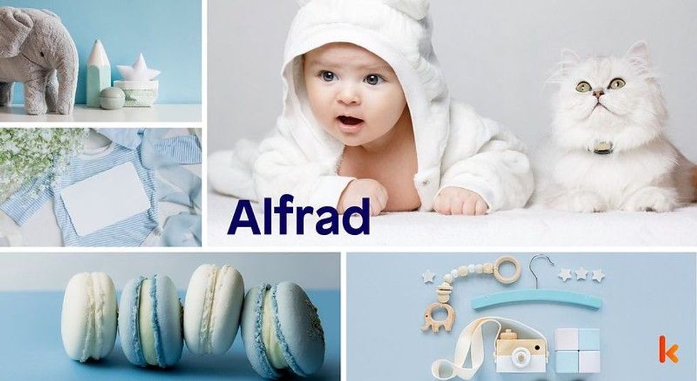 Baby name Alfrad - cute baby, cat, baby toys, baby clothes, baby accessories & macarons