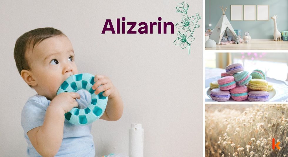 Baby name Alizarin - cute baby, macarons, toys, flowers