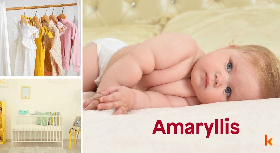 Baby name Amaryllis - cute baby, clothes, crib, accessories and toys.