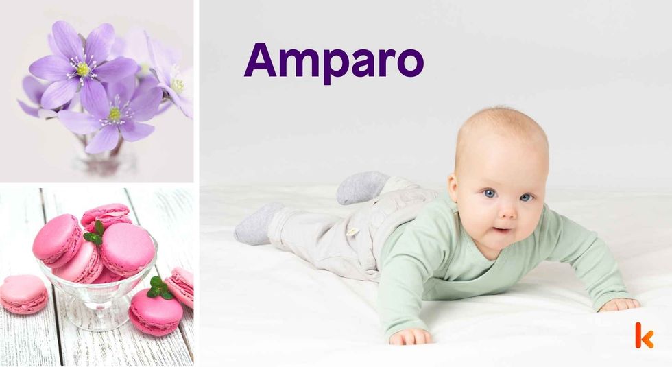 Baby name Amparo - cute baby, flowers, macarons