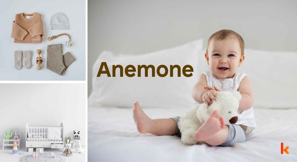 Baby name Anemone - cute baby, clothes, crib, accessories and toys.