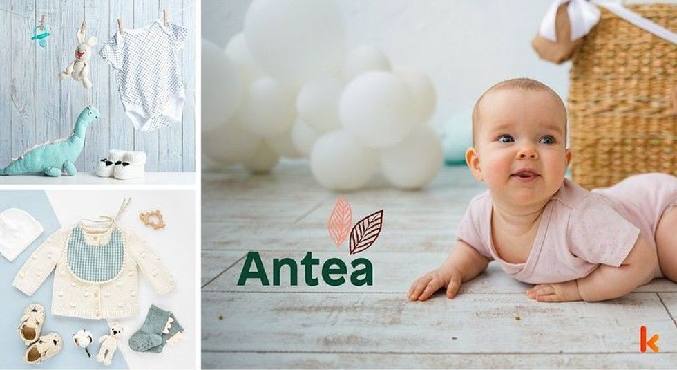 Baby name Antea - cute baby, macarons, clothes, toys, teether, baby booties