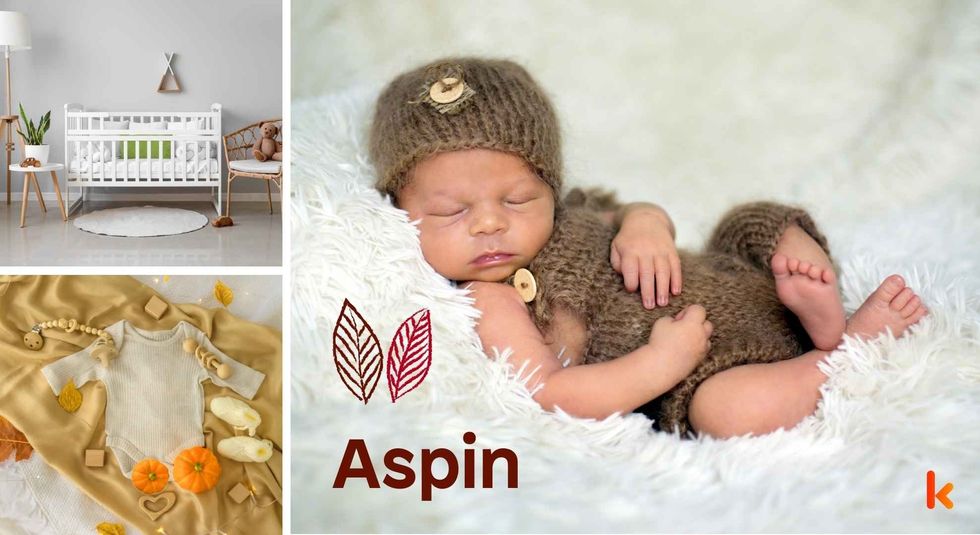 Baby name Aspin - cute baby, knitted cap & cupcakes.