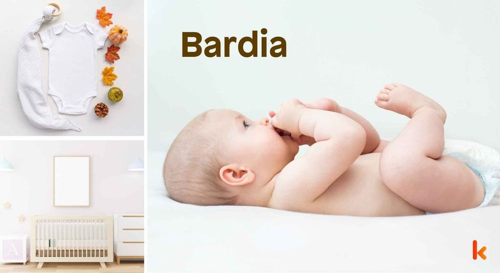 Baby name Bardia - cute baby, clothes, crib, accessories and toys.