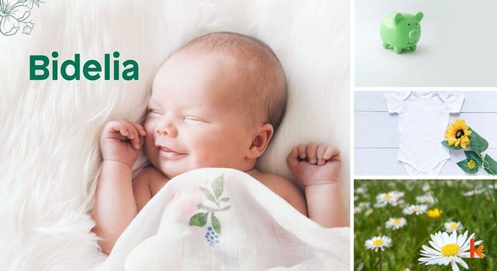 Baby Name Bidelia - cute baby, Flower, green pig toy. 